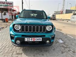 جيب رينيجيد